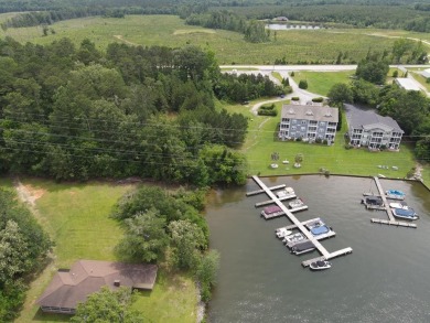 Attention Developers and Investors: We present to you a unique - Lake Commercial For Sale in Ninety Six, South Carolina