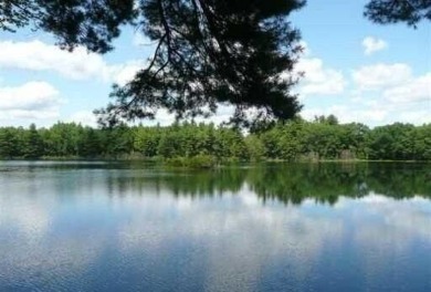 Lake Acreage For Sale in Leeds, Maine