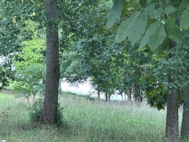 Lake Rabon Lot For Sale in Laurens South Carolina