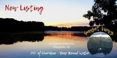 Lake Lot For Sale in Chappells, South Carolina