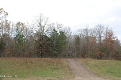 (private lake, pond, creek) Acreage Sale Pending in Byhalia Mississippi