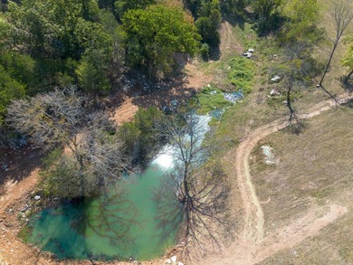 Don't miss this rare opportunity to own 79.5 +/- beautiful acres - photo 11