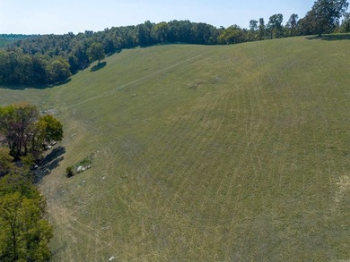 Don't miss this rare opportunity to own 79.5 +/- beautiful acres - photo 12
