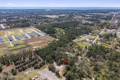 Over 5 acres conveniently located in Ocean Springs! Enjoy easy - photo 13