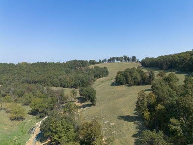 Don't miss this rare opportunity to own 79.5 +/- beautiful acres - photo 14