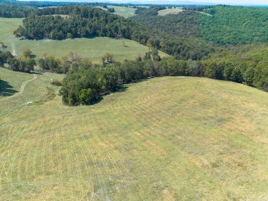 Don't miss this rare opportunity to own 79.5 +/- beautiful acres - photo 16