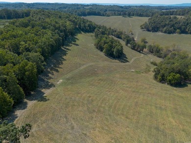Don't miss this rare opportunity to own 79.5 +/- beautiful acres - photo 18