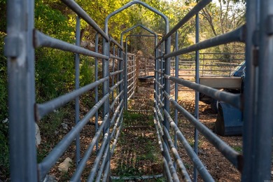Don't miss this rare opportunity to own 79.5 +/- beautiful acres - photo 19