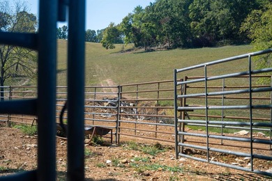 Don't miss this rare opportunity to own 79.5 +/- beautiful acres - photo 20