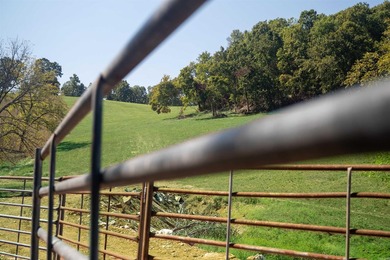 Don't miss this rare opportunity to own 79.5 +/- beautiful acres - photo 21