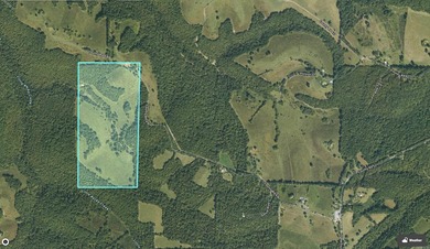 Don't miss this rare opportunity to own 79.5 +/- beautiful acres - photo 25
