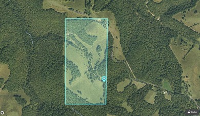 Don't miss this rare opportunity to own 79.5 +/- beautiful acres - photo 26