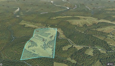 Don't miss this rare opportunity to own 79.5 +/- beautiful acres - photo 27