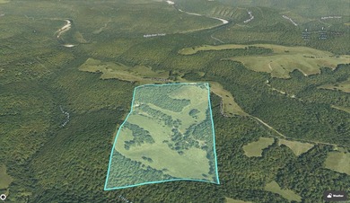 Don't miss this rare opportunity to own 79.5 +/- beautiful acres - photo 28