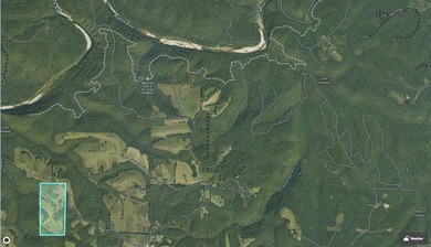 Don't miss this rare opportunity to own 79.5 +/- beautiful acres - photo 30