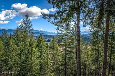 Tucked into the trees in one of Sandpoint's most sought-after - photo 45