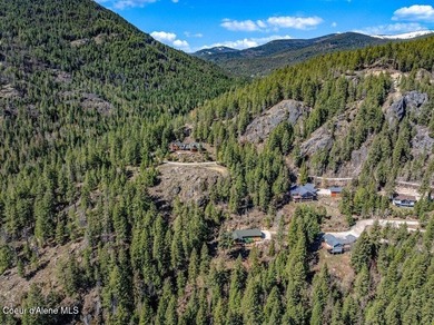 Tucked into the trees in one of Sandpoint's most sought-after - photo 46