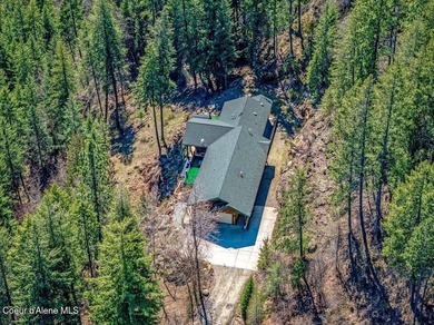 Tucked into the trees in one of Sandpoint's most sought-after - photo 49