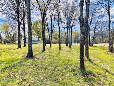 Lake Fork Lot For Sale in Quitman Texas