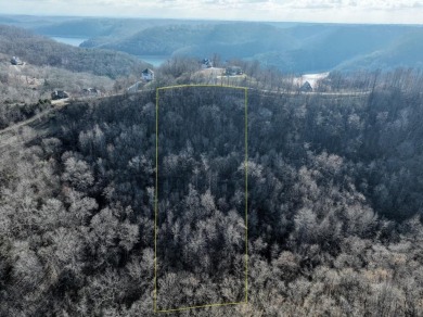 Lake Lot For Sale in Smithville, Tennessee