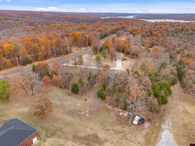 Take in the beauty of the Ozarks with this .65 acre m/l wooded - photo 4
