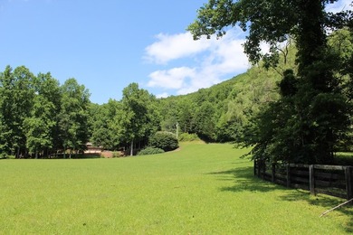 BEAUTIFUL, LEVEL 5 ACRE PARCEL - complete with frontage on a - photo 6