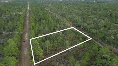 Lake Weohyakapka Lot For Sale in Other City - In The State Of Florida Florida