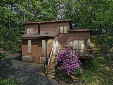 Lake Home For Sale in Bushkill, Pennsylvania