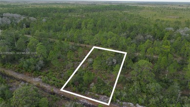 Additional listing photo 2