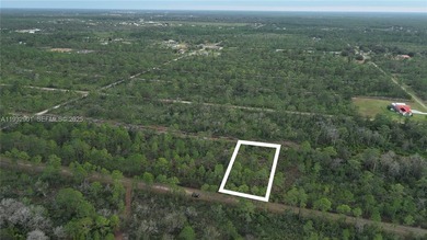 Build your dream home on this spacious 0.50-acre vacant lot - photo 6