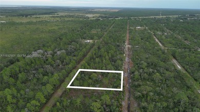 Build your dream home on this spacious 0.50-acre vacant lot - photo 8