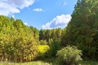 Buckhorn Lake Lot Active Under Contract in Middlesex North Carolina