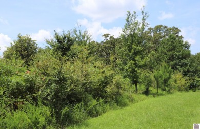 Lake Lot For Sale in Murray, Kentucky