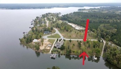 Lake Lot For Sale in Ninety Six, South Carolina