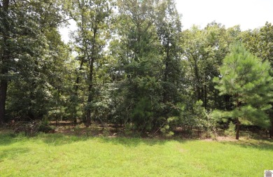 Kentucky Lake Lot For Sale in Murray Kentucky