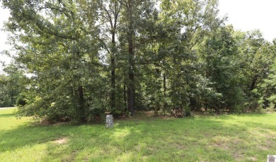 Discover the charm of Western Shores Subdivision, located in the - photo 3