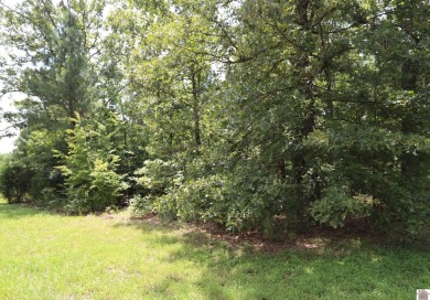 Discover the charm of Western Shores Subdivision, located in the - photo 4