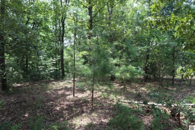 Discover the charm of Western Shores Subdivision, located in the - photo 5