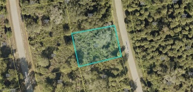 Lehigh Acres Area Lot For Sale in Lehigh Acres Florida