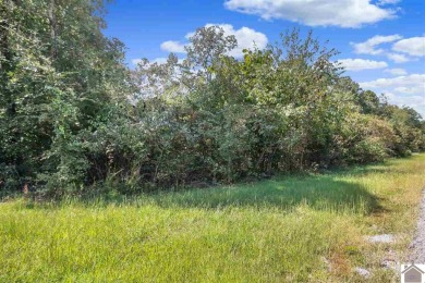 Lake Lot For Sale in Murray, Kentucky