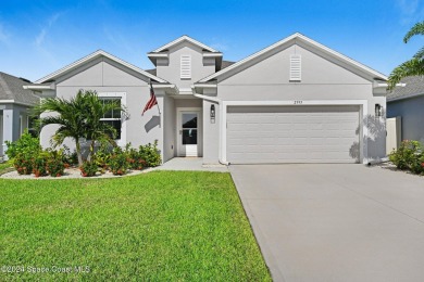 Lake Home Sale Pending in Palm Bay, Florida