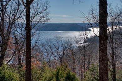 4.5 Acres of Lake Views, Cliffs, and Beaver Lake Frontage! - photo 2