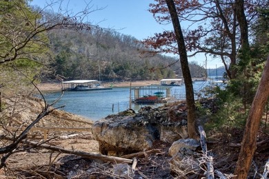 4.5 Acres of Lake Views, Cliffs, and Beaver Lake Frontage! - photo 4