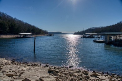 4.5 Acres of Lake Views, Cliffs, and Beaver Lake Frontage! - photo 5