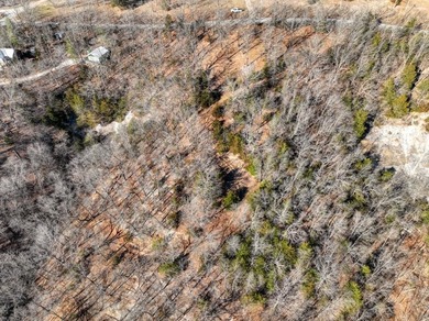 4.5 Acres of Lake Views, Cliffs, and Beaver Lake Frontage! - photo 6
