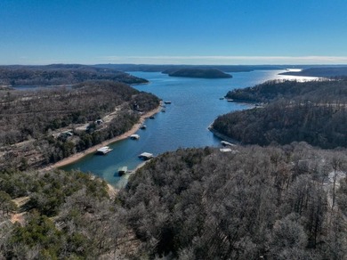 4.5 Acres of Lake Views, Cliffs, and Beaver Lake Frontage! - photo 7