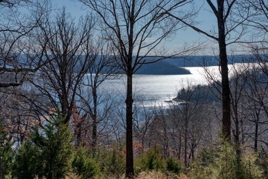 4.5 Acres of Lake Views, Cliffs, and Beaver Lake Frontage! - photo 8