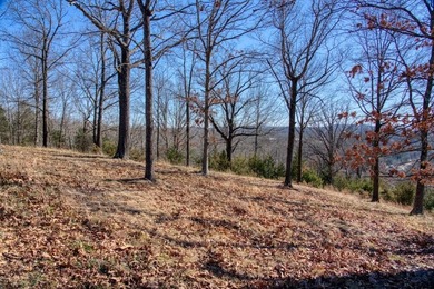 4.5 Acres of Lake Views, Cliffs, and Beaver Lake Frontage! - photo 9