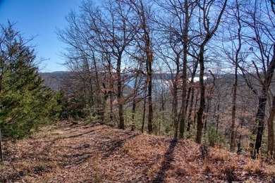 4.5 Acres of Lake Views, Cliffs, and Beaver Lake Frontage! - photo 10