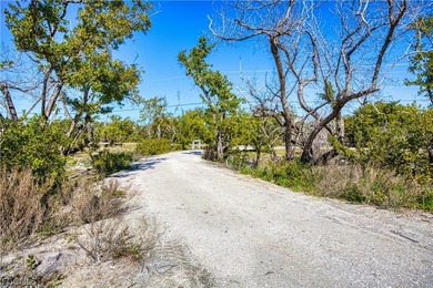This truly unique gulf beach ridge parcel is zoned for single - photo 12